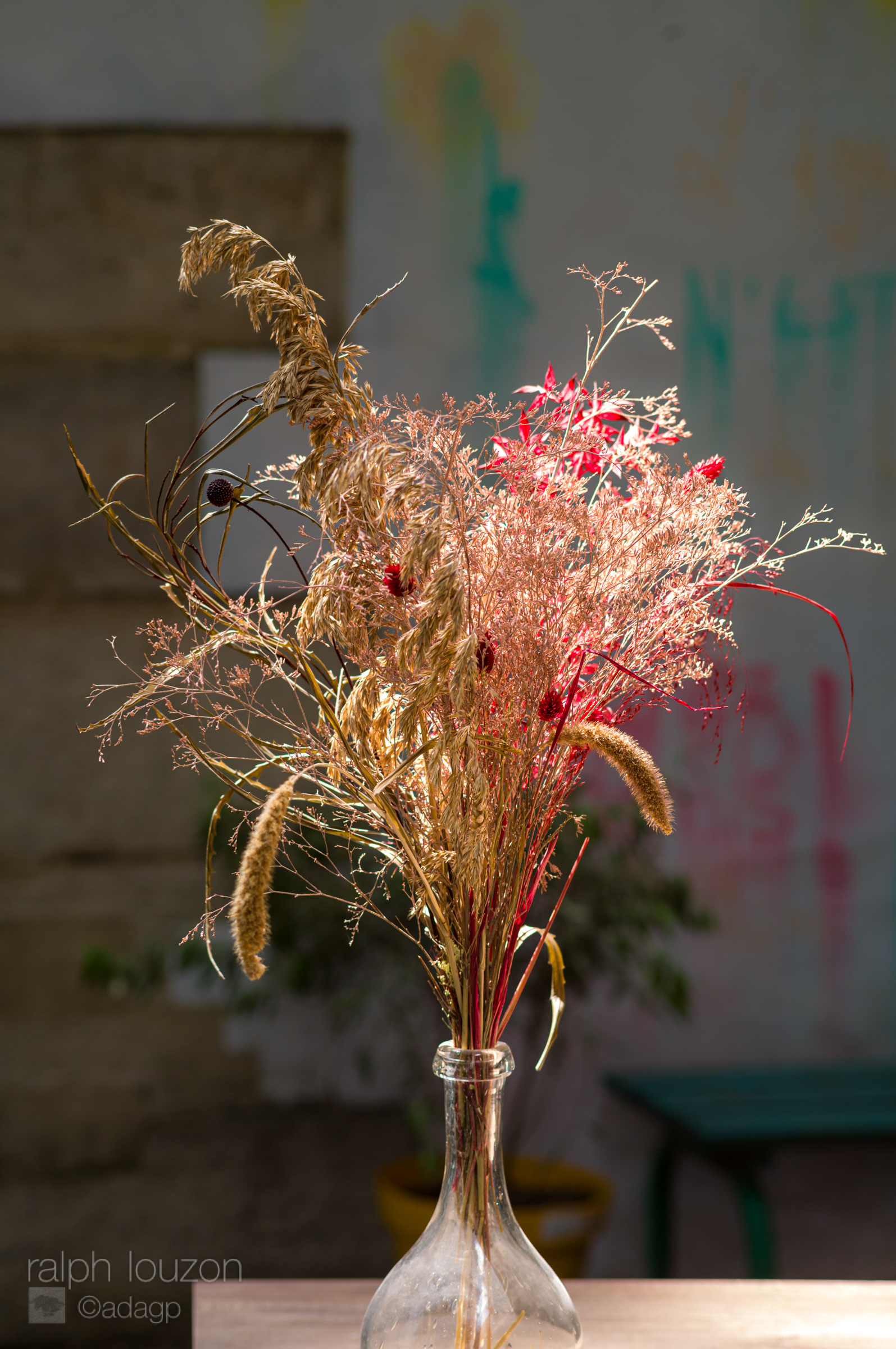 Un bouquet de fleurs séchées